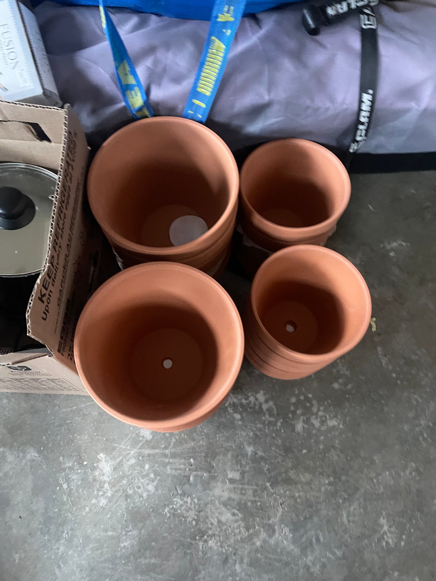 Creative Flower Pot Decorating Workshop - April 21 - Assignack Arena