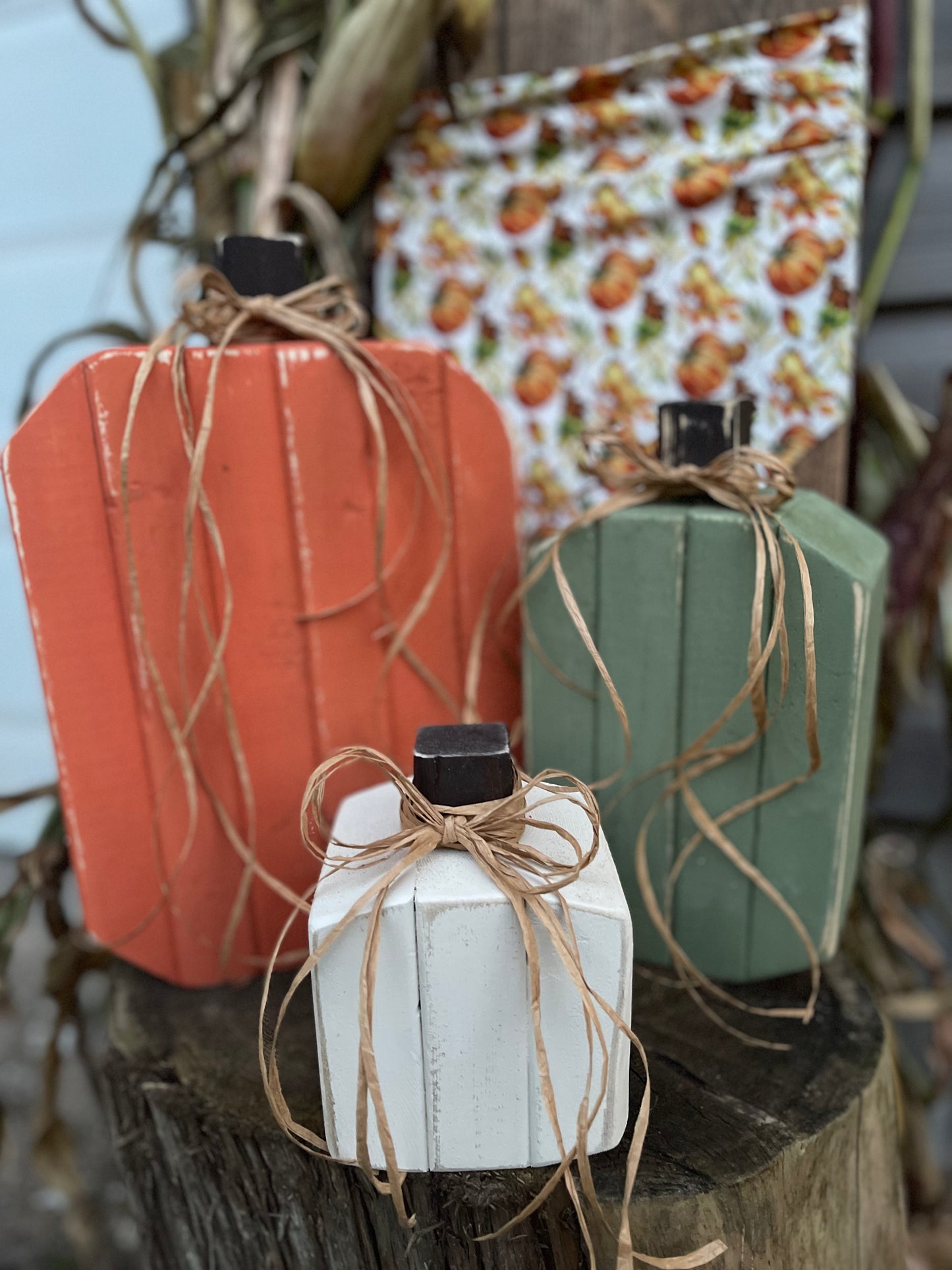 Pumpkin Patch Workshop - October 12, 2024