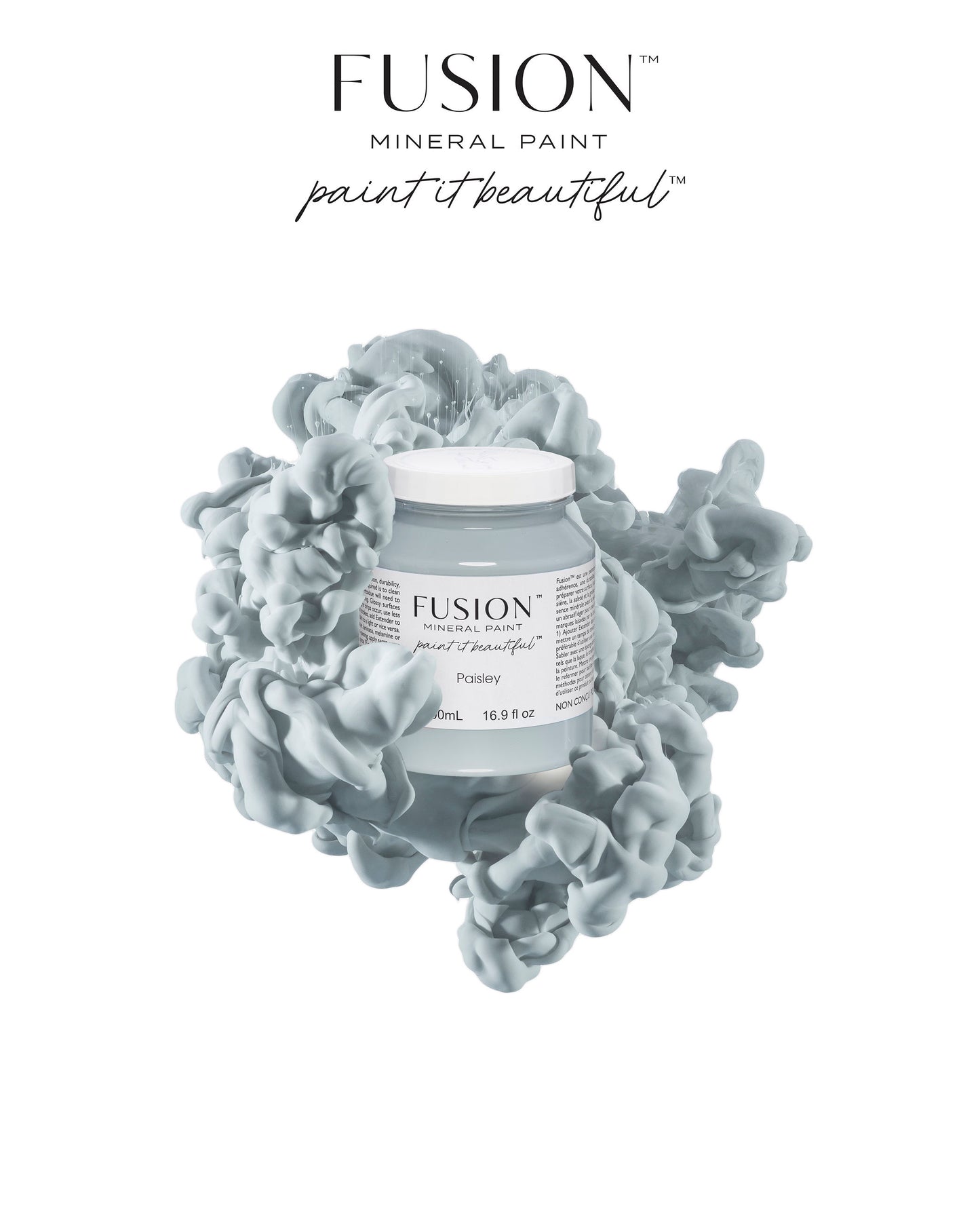 Mineral Paint Paisley